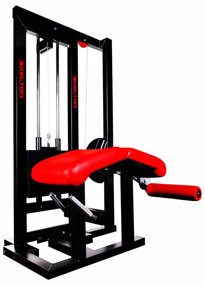 Bild von Kelton - Leg Curl Maschine PMS12s