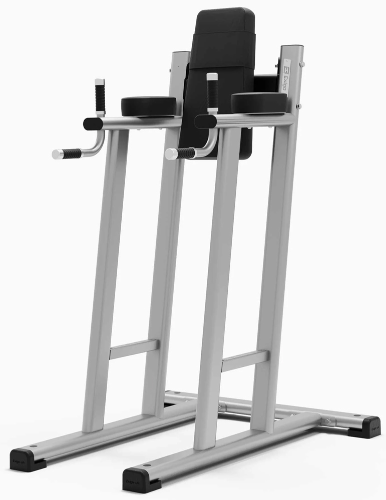 Bild von Exigo Leg Raise / Dip Station